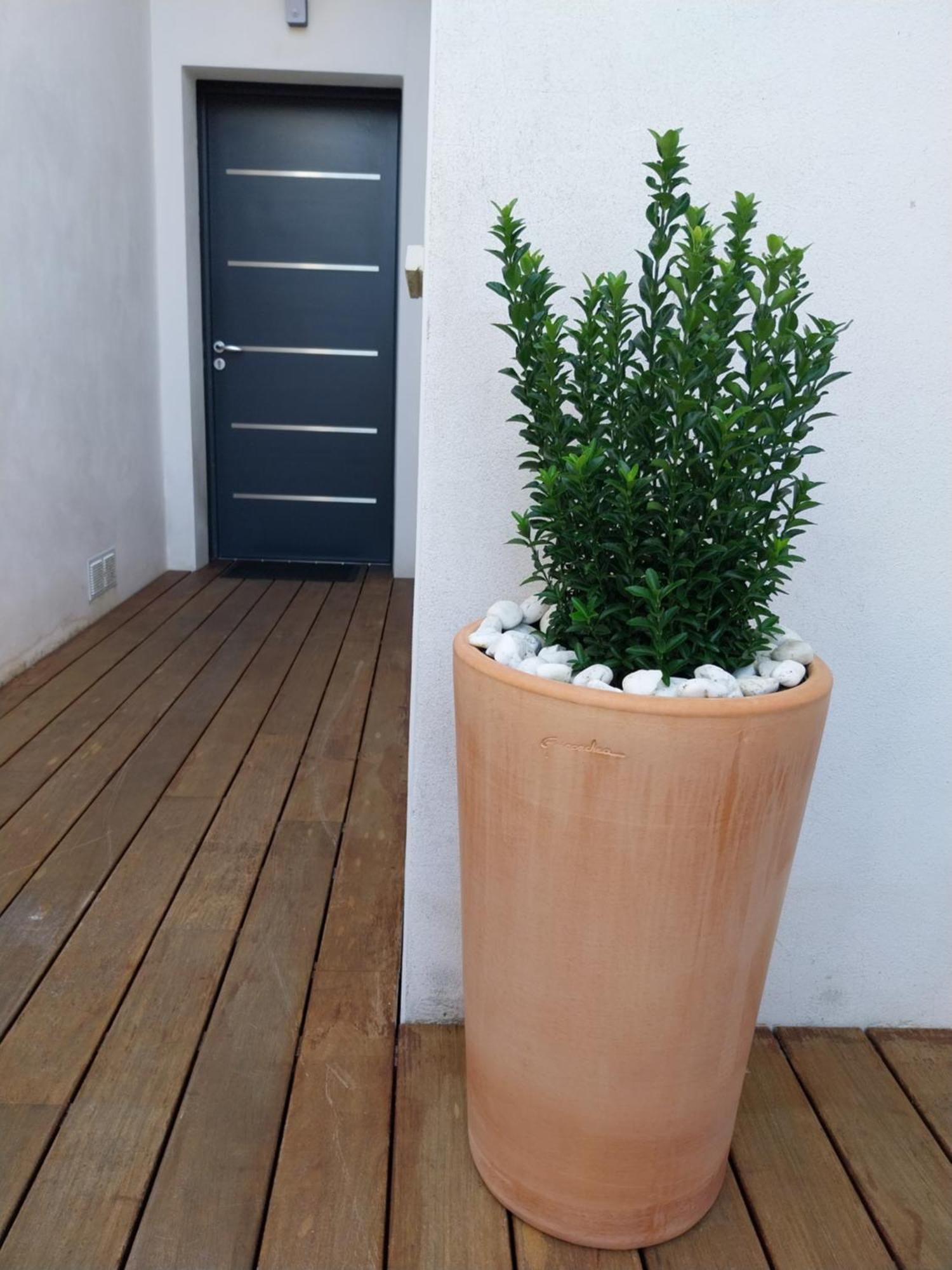Studio Cocon Enea Bidart, Terrasse Et Parking Dış mekan fotoğraf